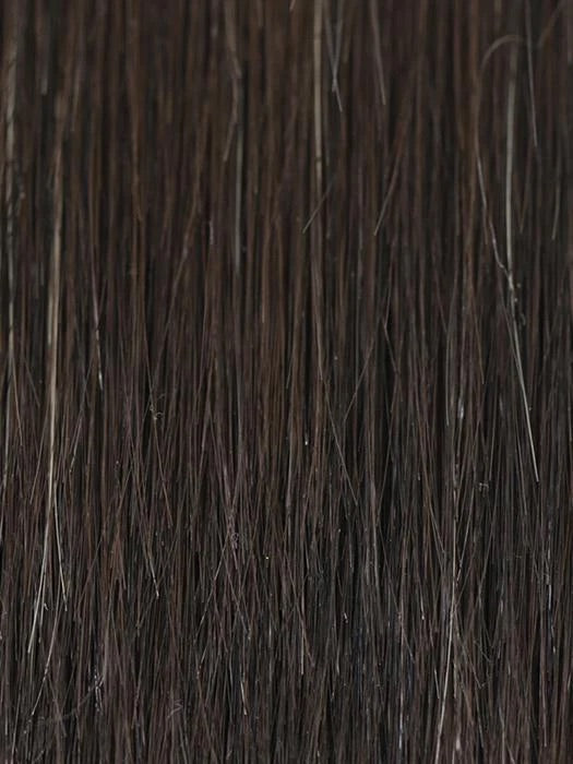 2/4R  Very Dark Brown with Highlights