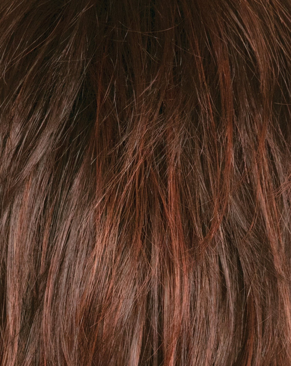 chestnut