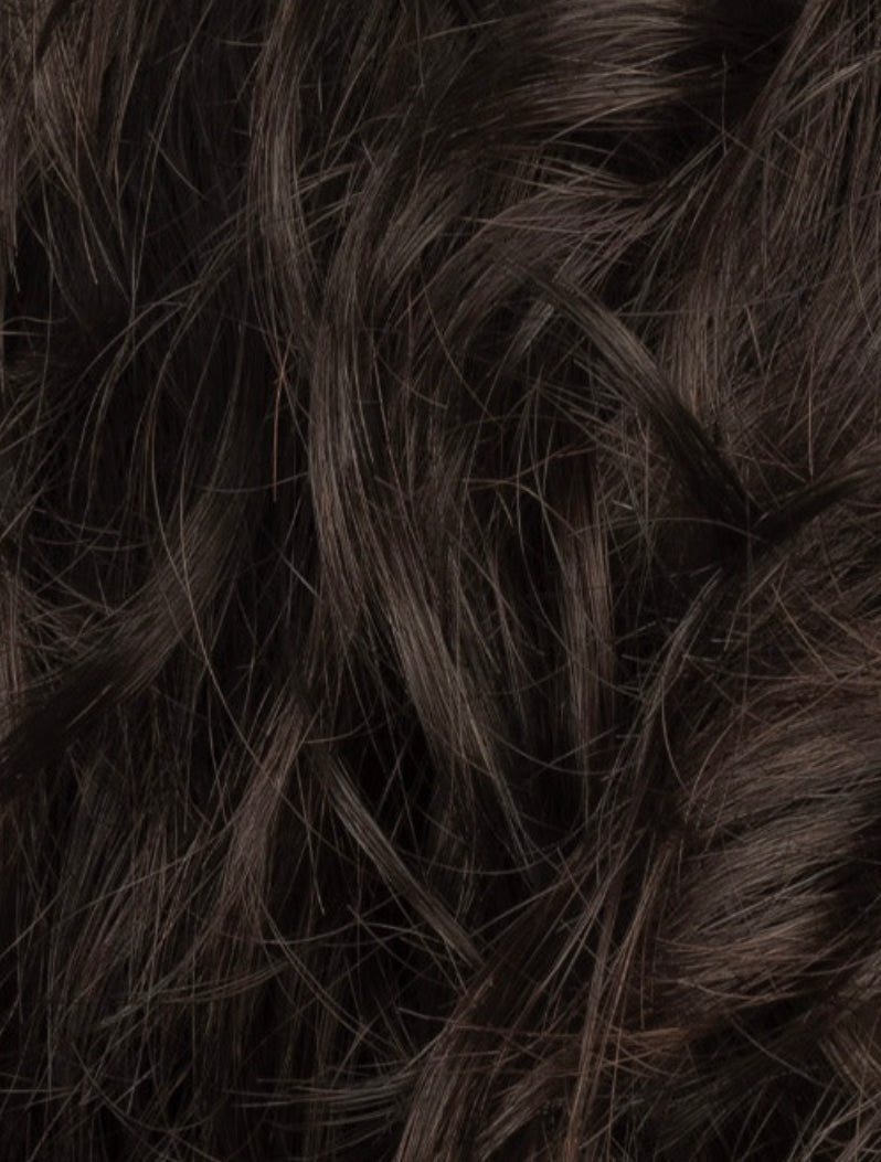 dark brown tipped