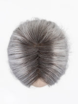 METALLIC GREY ROOTED