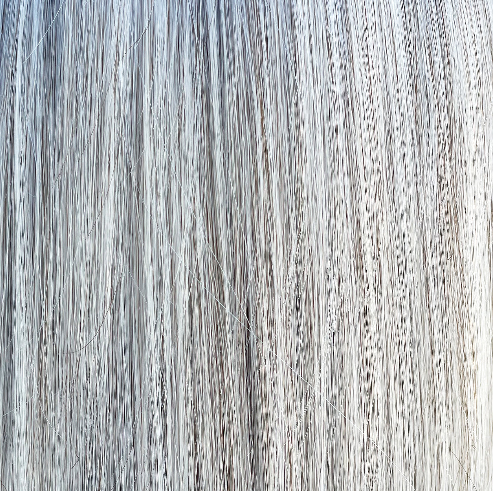 Oyster Gray