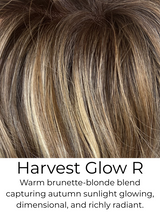 Donna 60% OFF TODAY ONLY