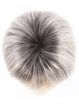 POLAR SILVER SHADED