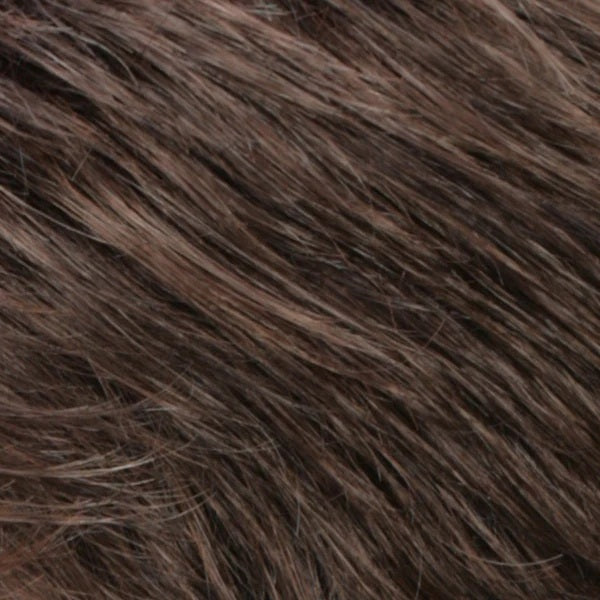 r14-8h Golden Brown with Dark Blonde Highlights on Top